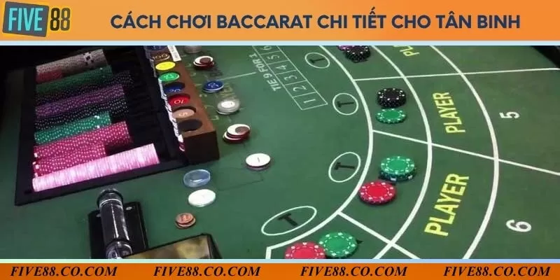 Tìm hiểu thứ tự chơi, phân tích cửa cược và các quy tắc tính điểm