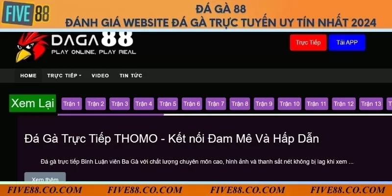 Đá gà 88 - Đánh giá website đá gà trực tuyến uy tín nhất 2024