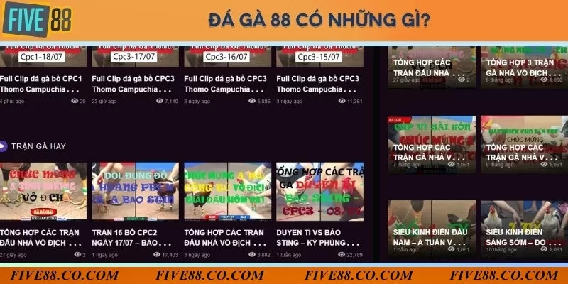 Giao diện đẹp mắt của website đá gà 88