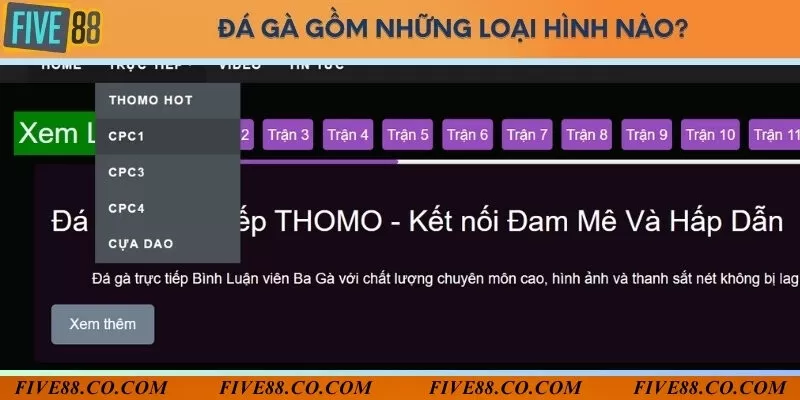 Gồm có 3 loại hình đá gà tại website Đá gà 88