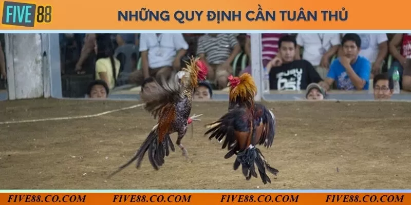 Quy định đặt cược đối với người chơi