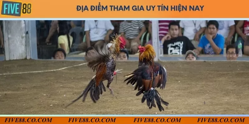 Five88 địa điểm được lựa chọn hàng đầu