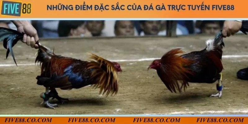 Linh động thời gian và trải nghiệm nhiều hình thức kịch tính