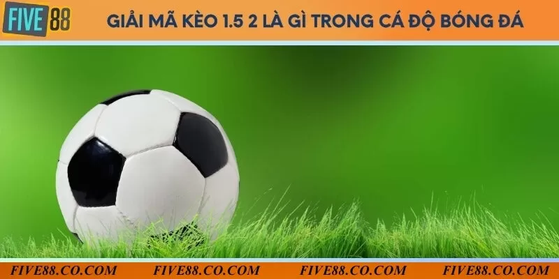 Giải mã kèo 1.5 2 là gì trong cá độ bóng đá