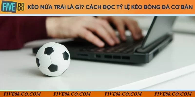 Kèo nửa trái là gì? Cách đọc tỷ lệ kèo bóng đá cơ bản