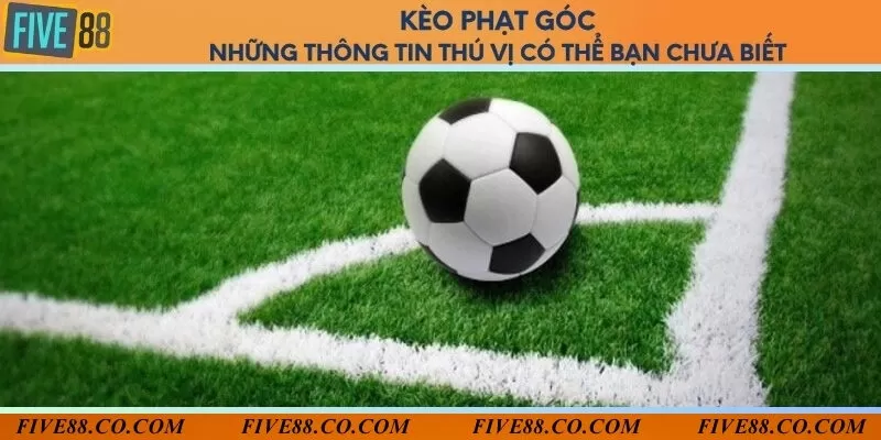 Kèo phạt góc và những thông tin thú vị có thể bạn chưa biết