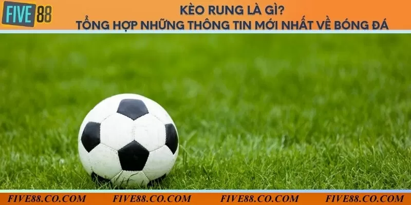 Kèo rung là gì? Tổng hợp những thông tin mới nhất về bóng đá