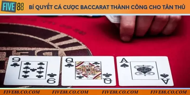 Mẹo đặt cược baccarat dành cho người mới