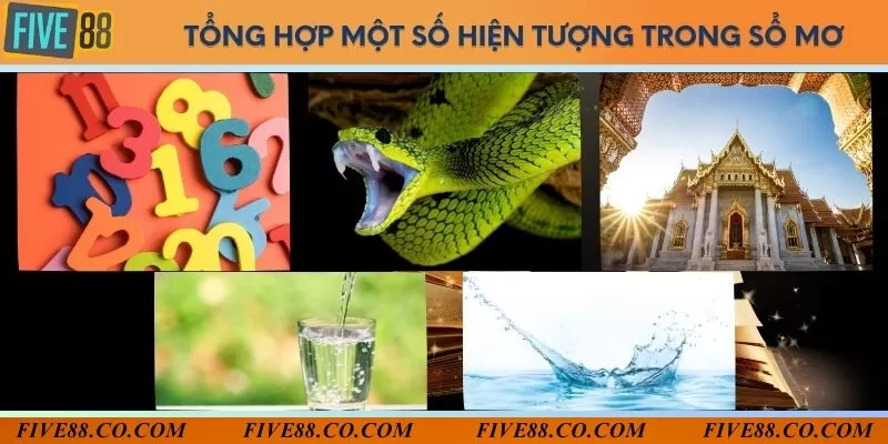 Tổng hợp 5 giấc mơ thường gặp nhất