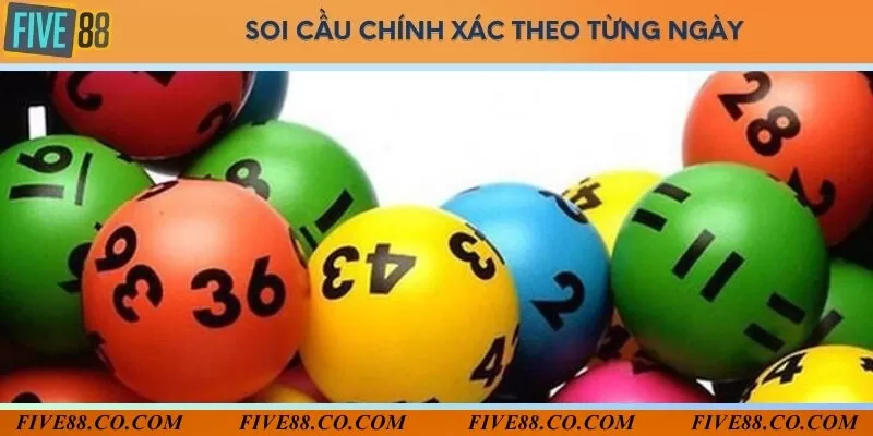 Phân tích chi tiết kết quả xổ số Vietlott 6/55