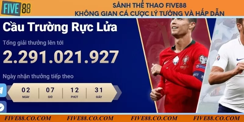 Sảnh thể thao Five88 - Không gian cá cược lý tưởng và hấp dẫn