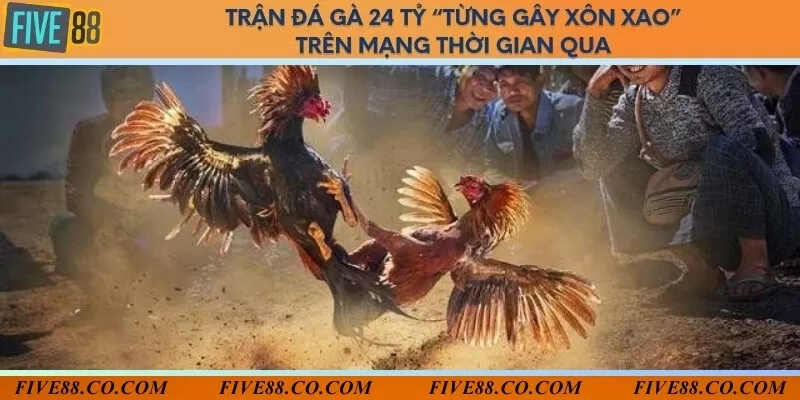 Trận đá gà 24 tỷ “từng gây xôn xao” trên mạng thời gian qua