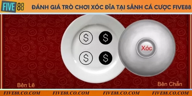 Không gian đặt cược sôi động với nhiều tính năng hấp dẫn